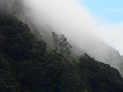Mauao, Mt Maunganui