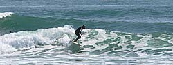 Surfing New Zealand